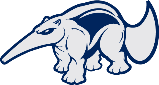 California-Irvine Anteaters 1991-2008 Mascot Logo DIY iron on transfer (heat transfer)